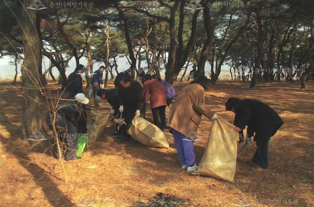 동면 지내리 자연보호 활동 이미지