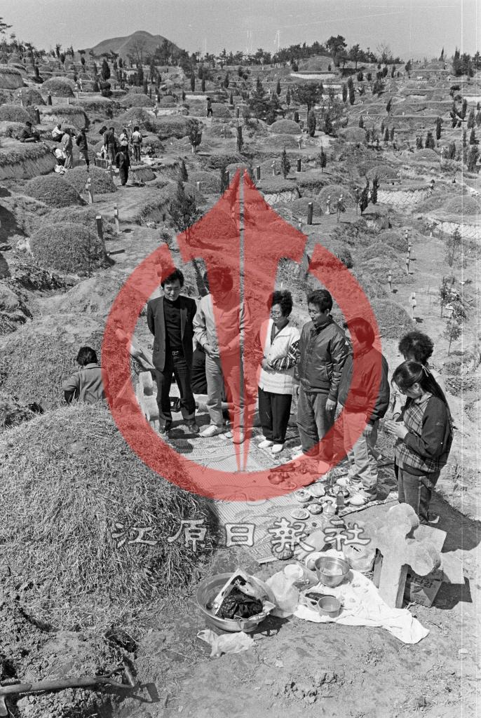 동산면 원창리 무궁화동산 이미지