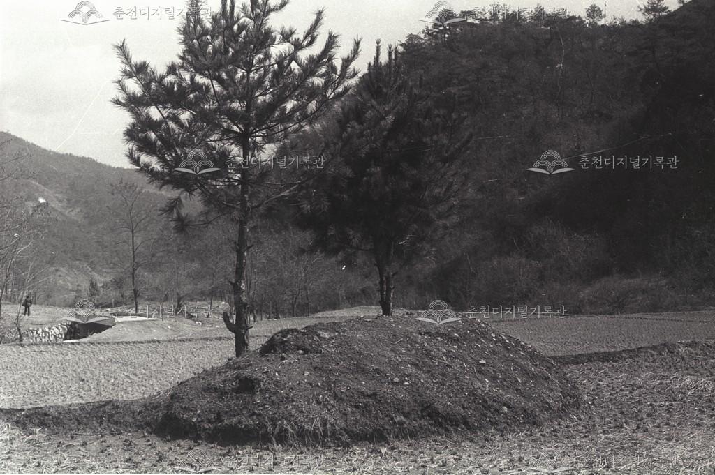 동산면 조양리 말무덤 이미지