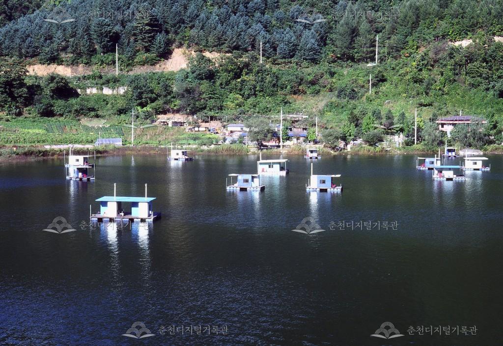 사북면 낚시터 이미지