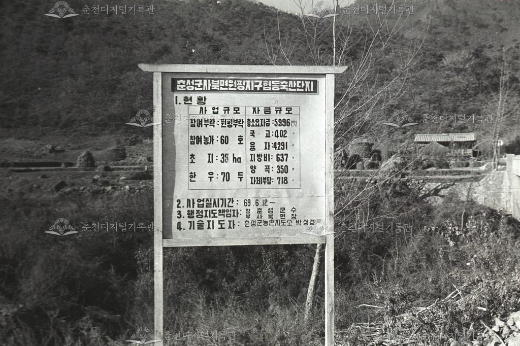 사북면 원평리 협동축산단지 이미지