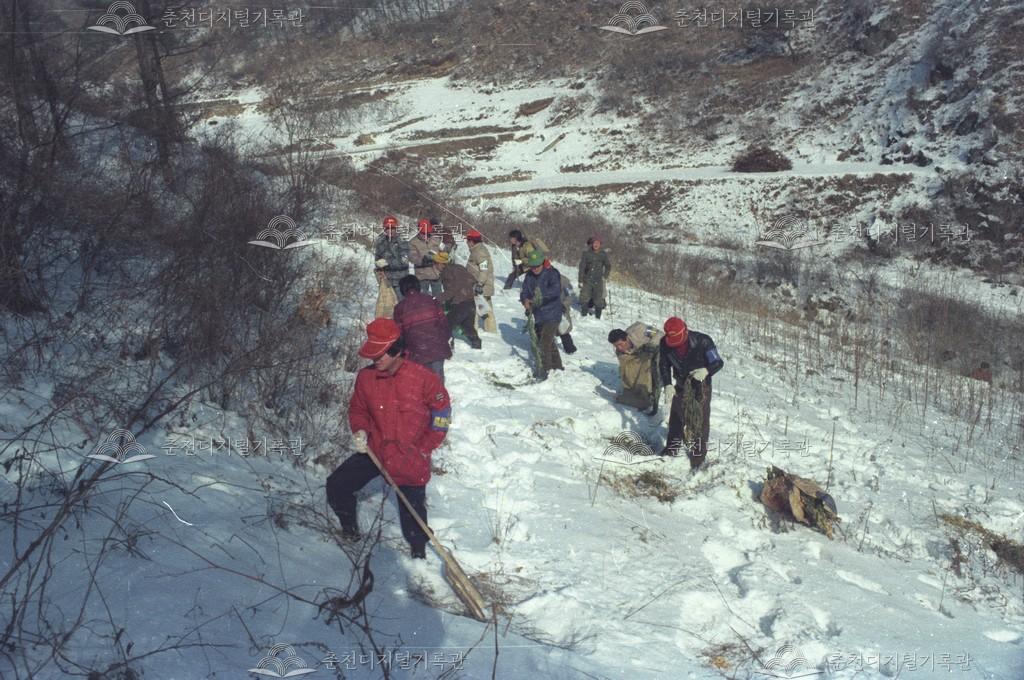 사북면 지암리 야생조류 먹이주기 이미지