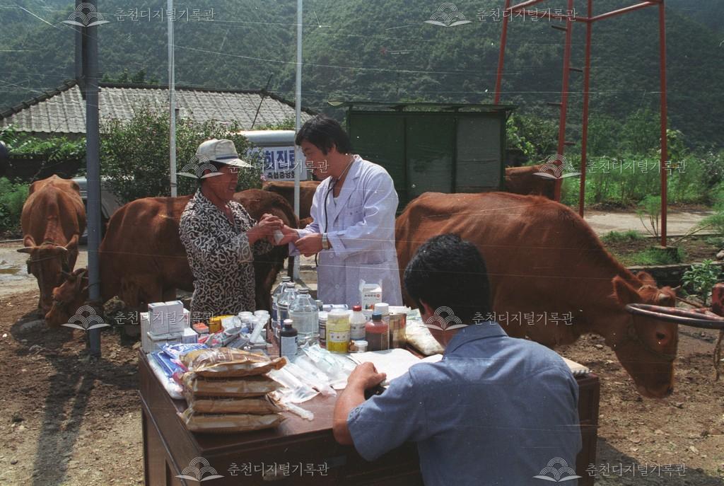 사북면 지암리 가축순회 무료 진료 이미지