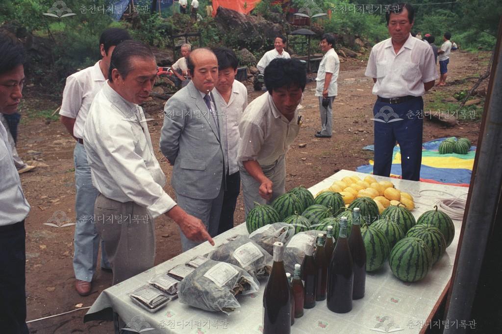 사북면 지암리 관광 임대농업 개장 이미지