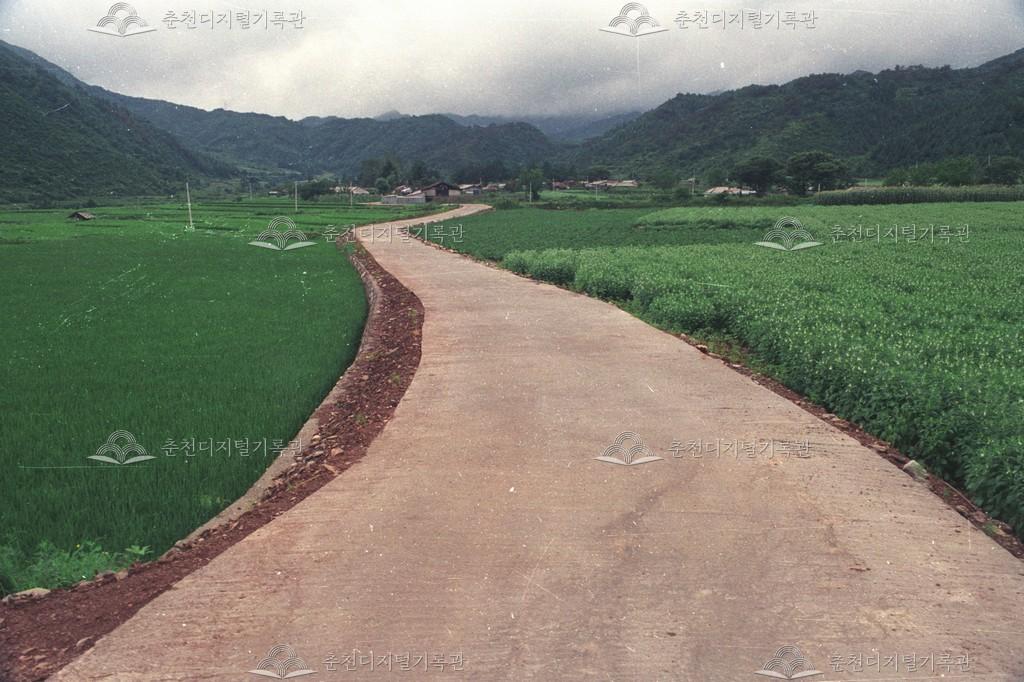사북면 지암리 마을안길 포장 이미지