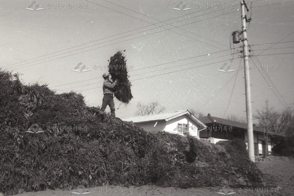 서면 퇴비 증산 이미지