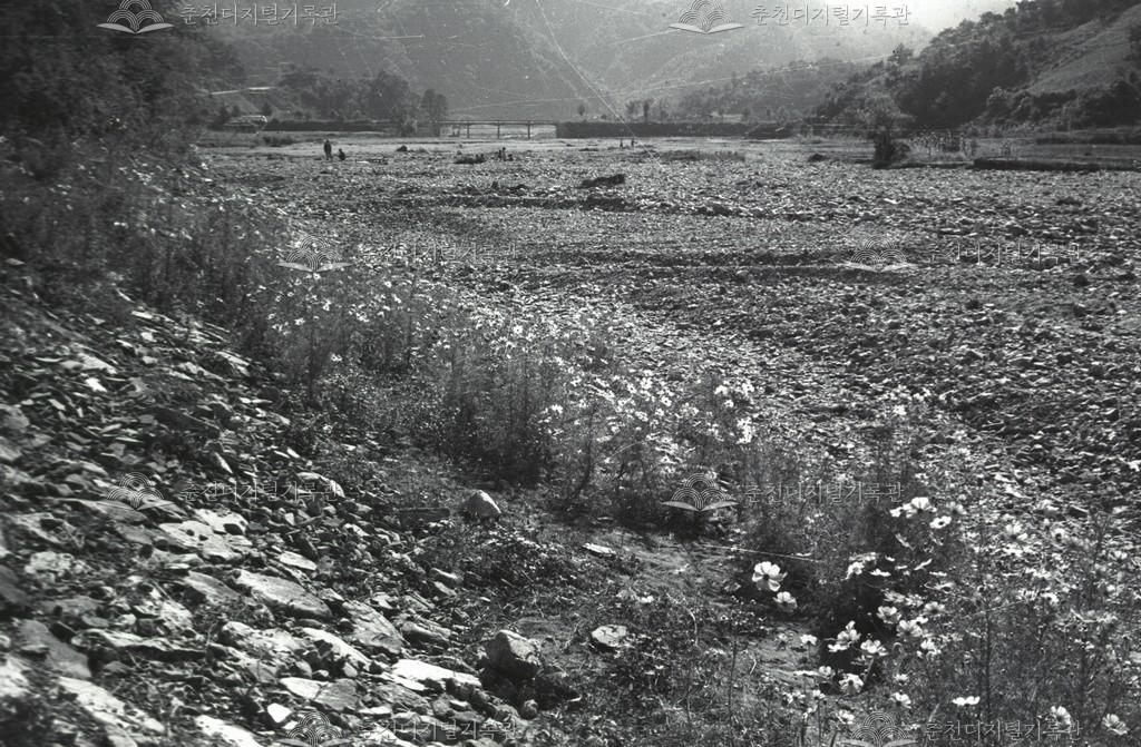 서면 당림리 당림천 이미지