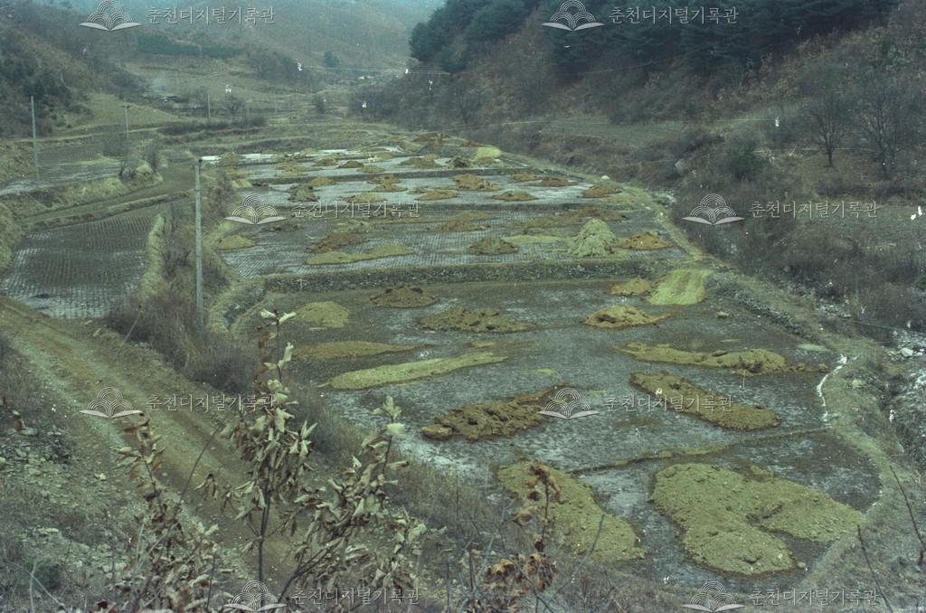 서면 당림리 객토작업 이미지