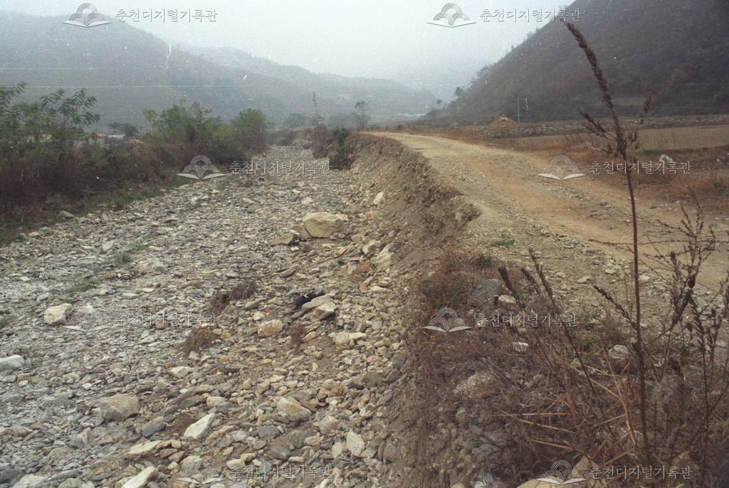 서면 당림리 농로 이미지