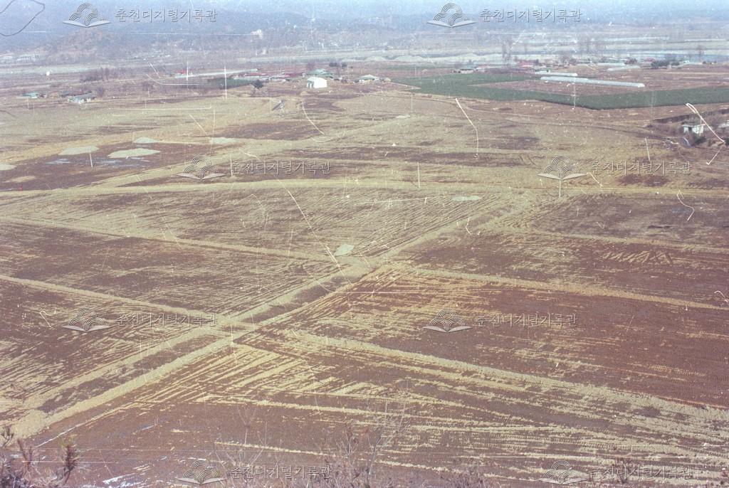 서면 신매리 경지정리 이미지