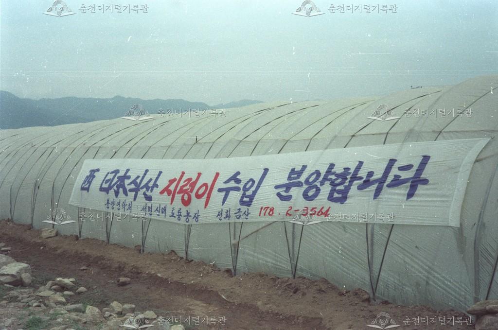 서면 신매리 식용 지렁이 양식 이미지