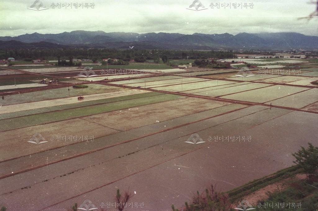 서면 신매리 경지정리지구 이미지
