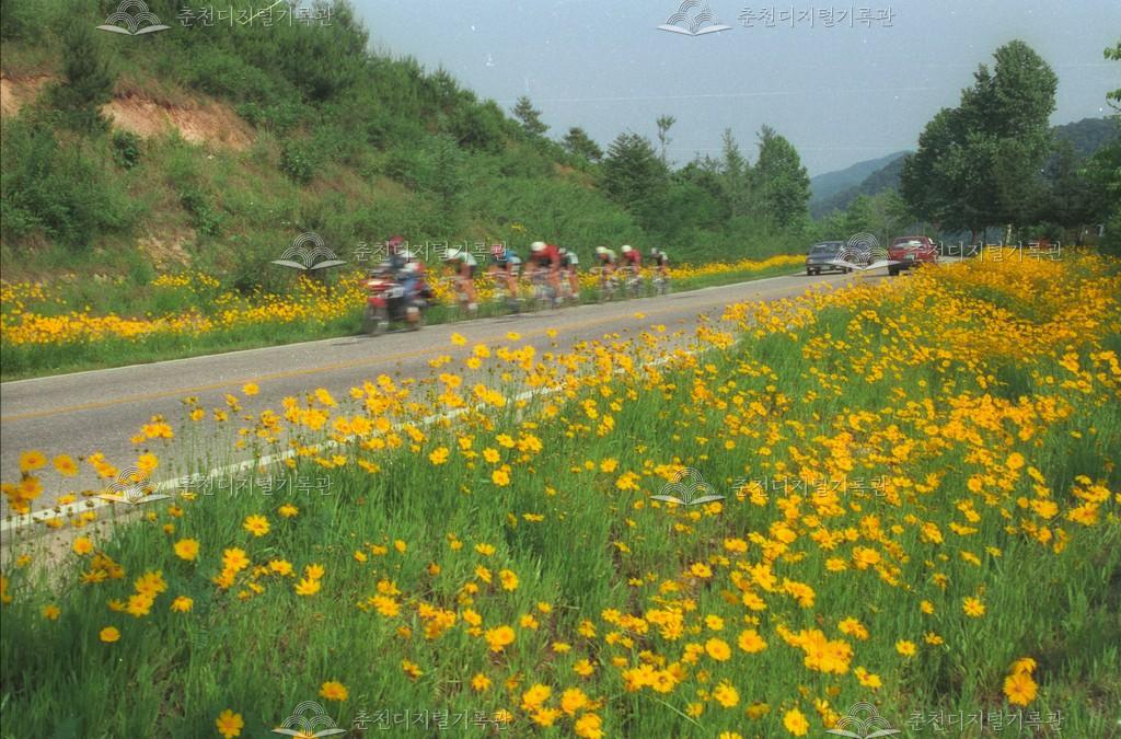 서면 안보리 경춘국도변 꽃길 이미지