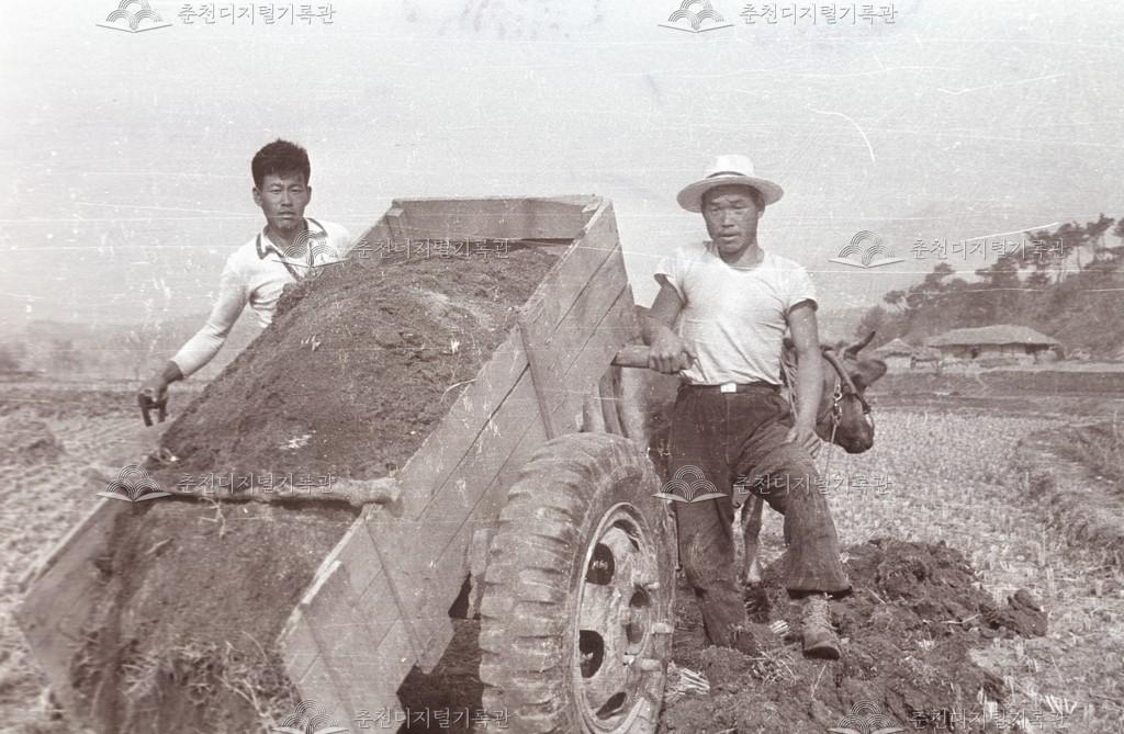 신동면 정족리 객토 이미지