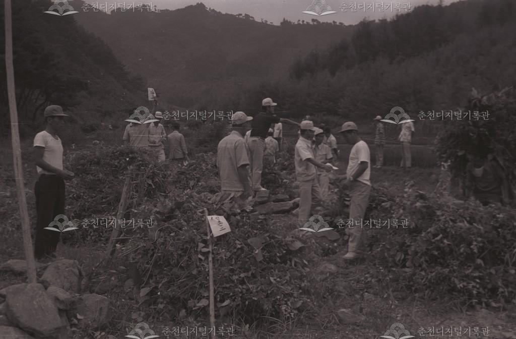 신동면 하계 퇴비 생산 이미지