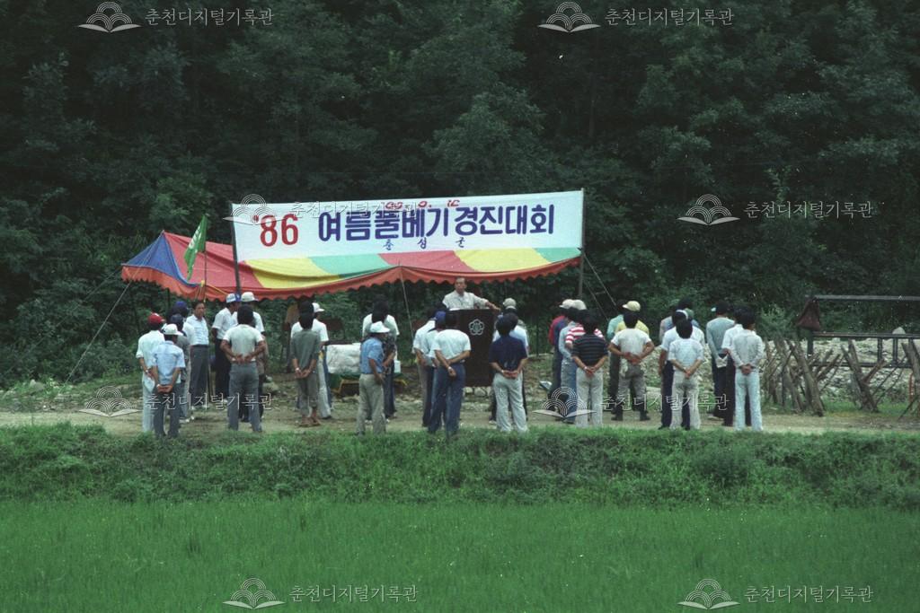 신동면 여름풀베기 경진대회 이미지