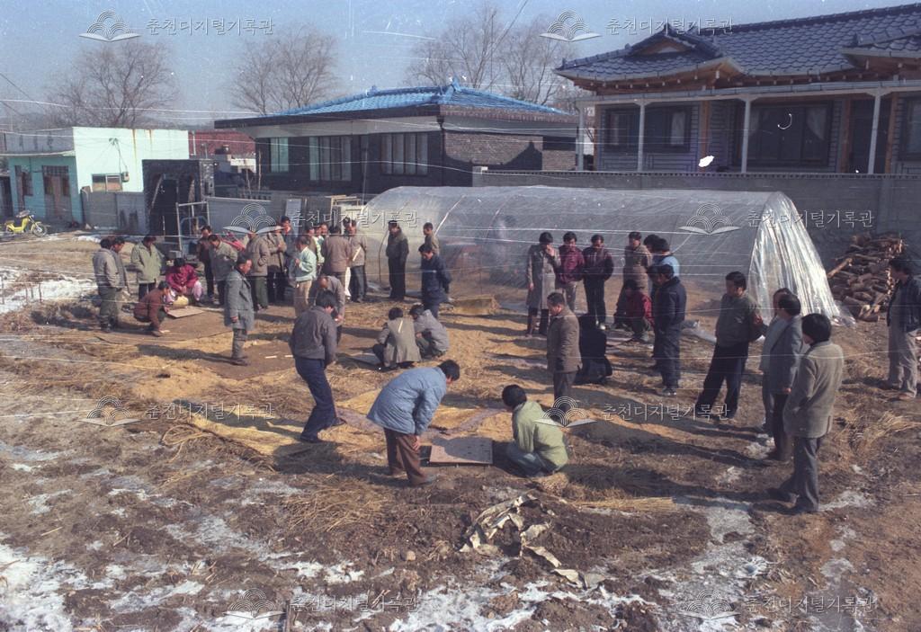 신동면 증리 윷놀이 대회 이미지