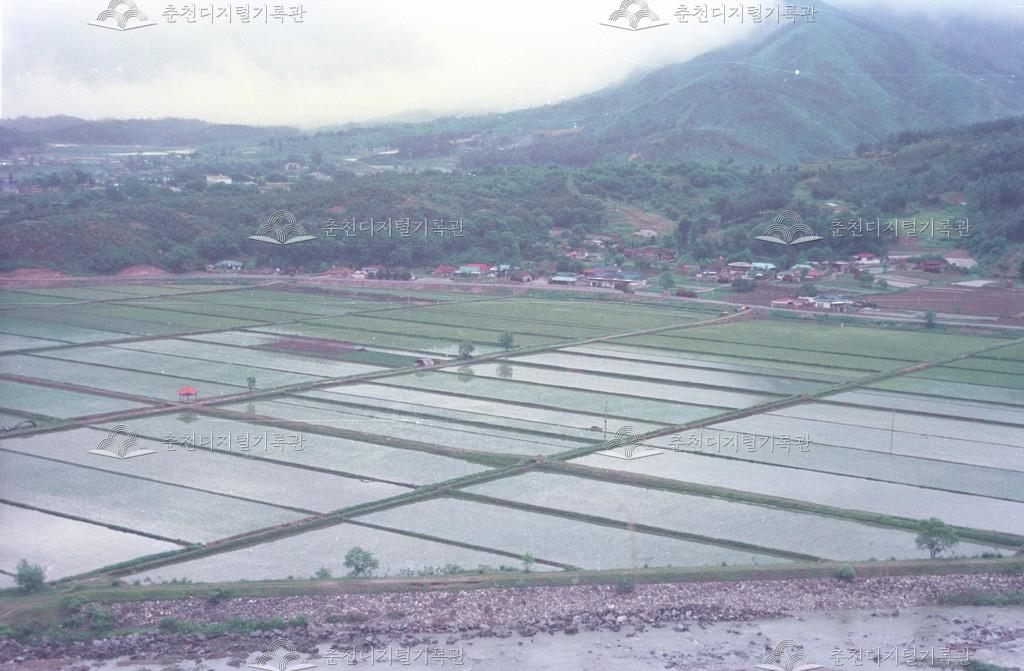 신동면 증리 경지정리 지구 이미지