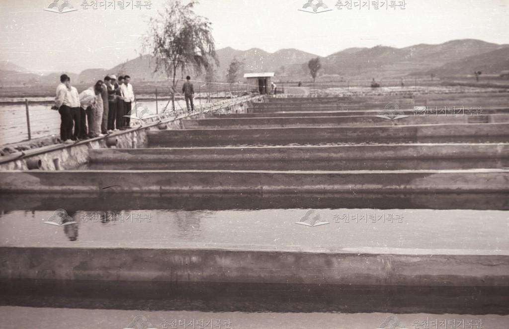 신북읍 송어양식장 이미지