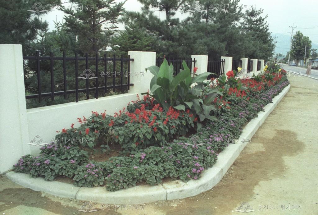 서울올림픽 성화봉송로 꽃길 조성 이미지