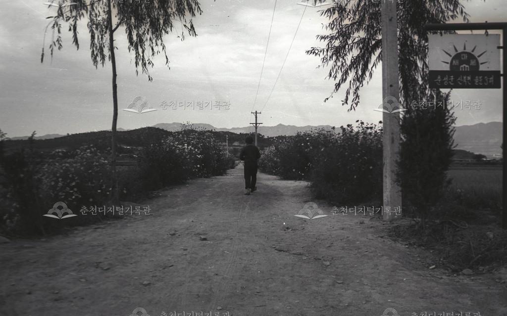 율문리 전경 이미지