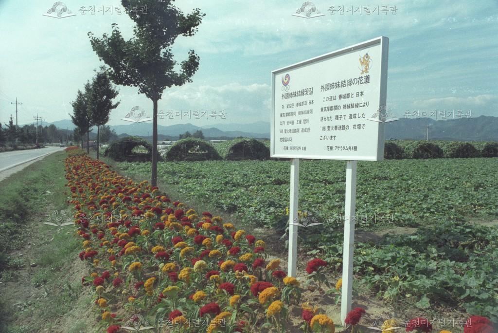 외국 자매도시 씨앗으로 만든 꽃길 이미지