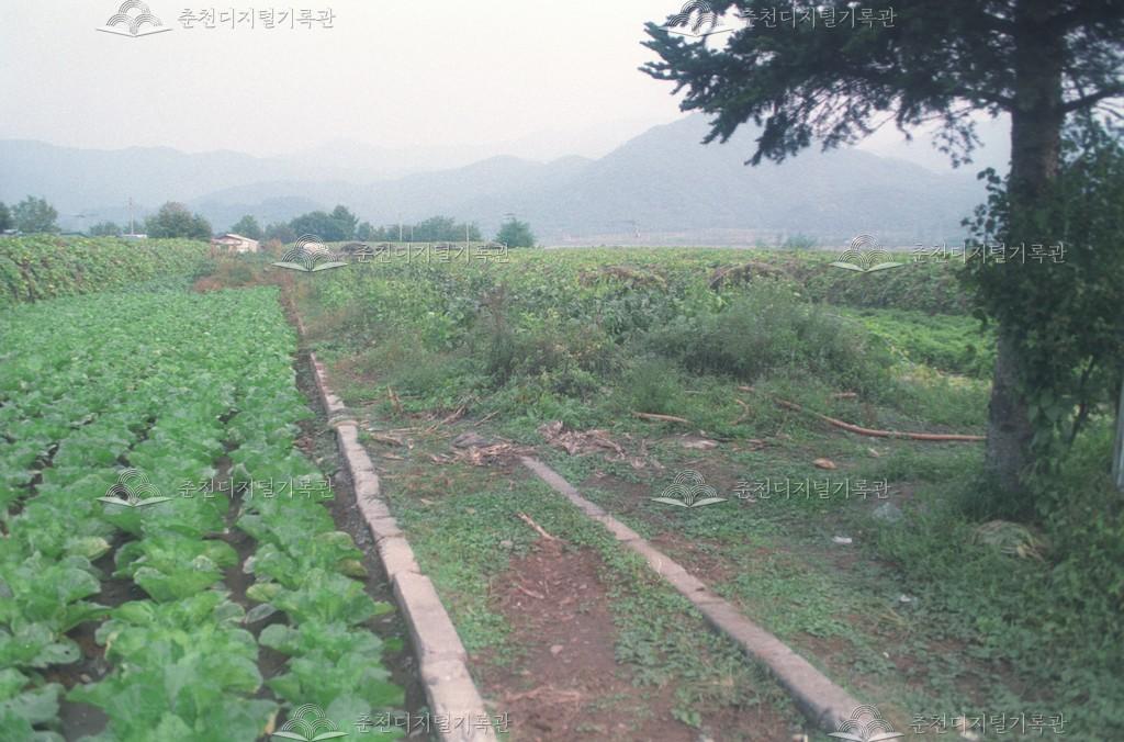 천전리 전경 이미지