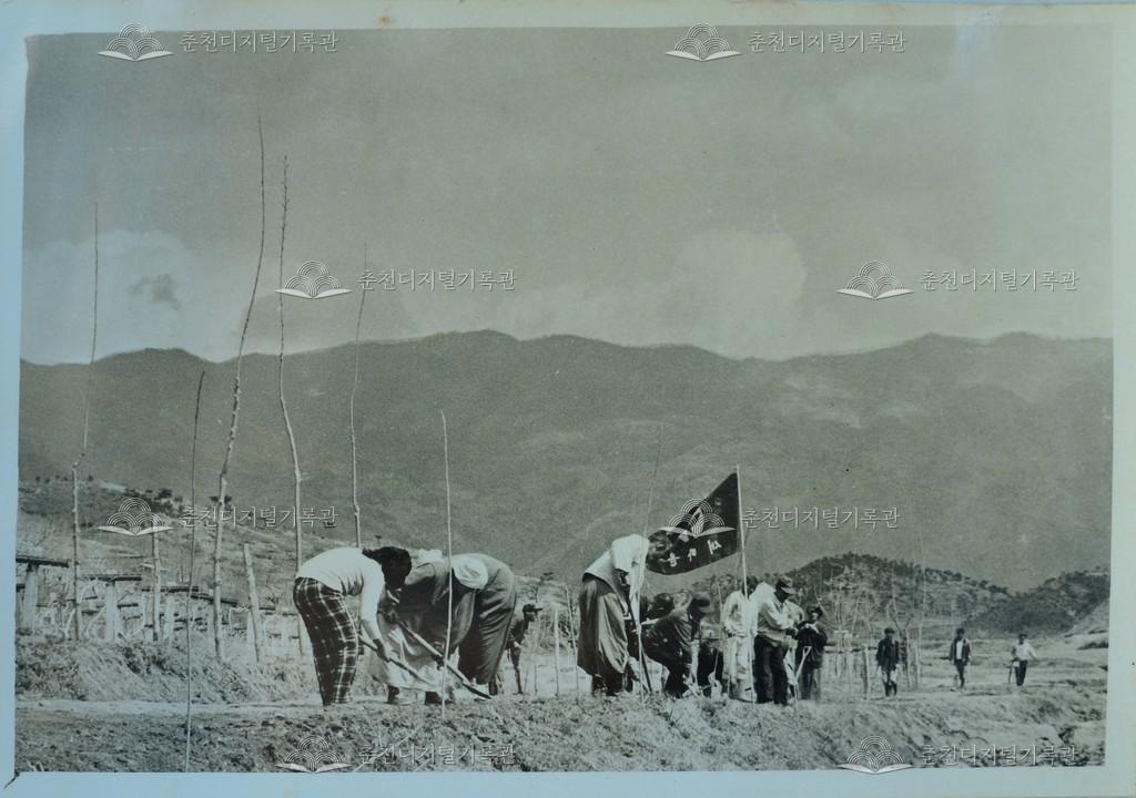 새마을 운동 도로 보수 작업 이미지