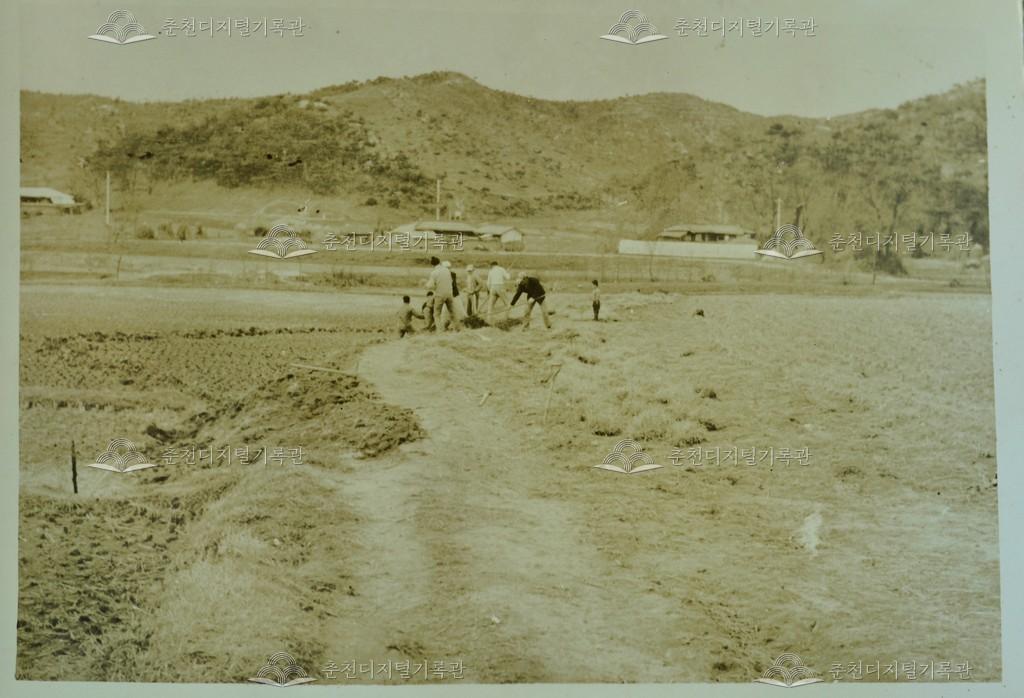 뚝새골 도로 정비 이미지