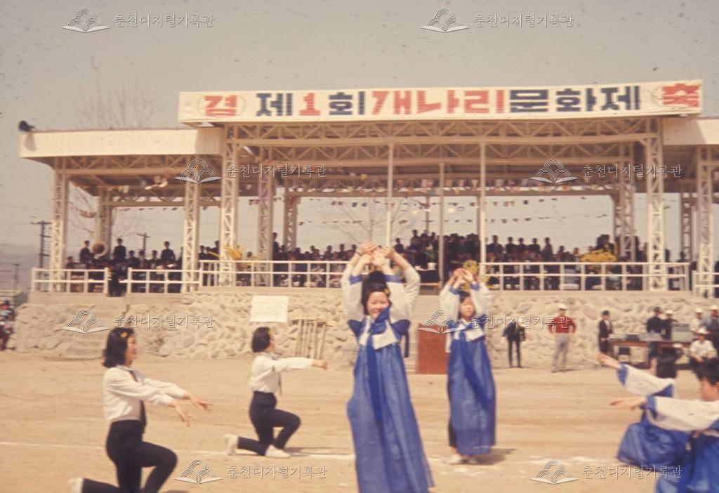 제1회 개나리문화제 이미지
