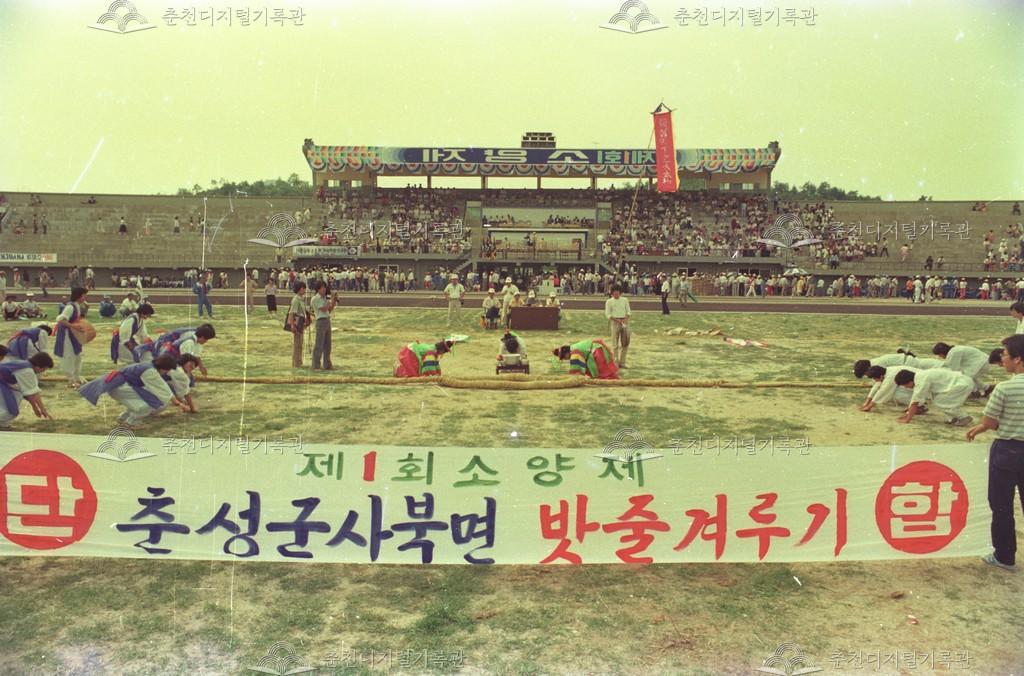 제1회 소양제_밧줄겨루기 이미지