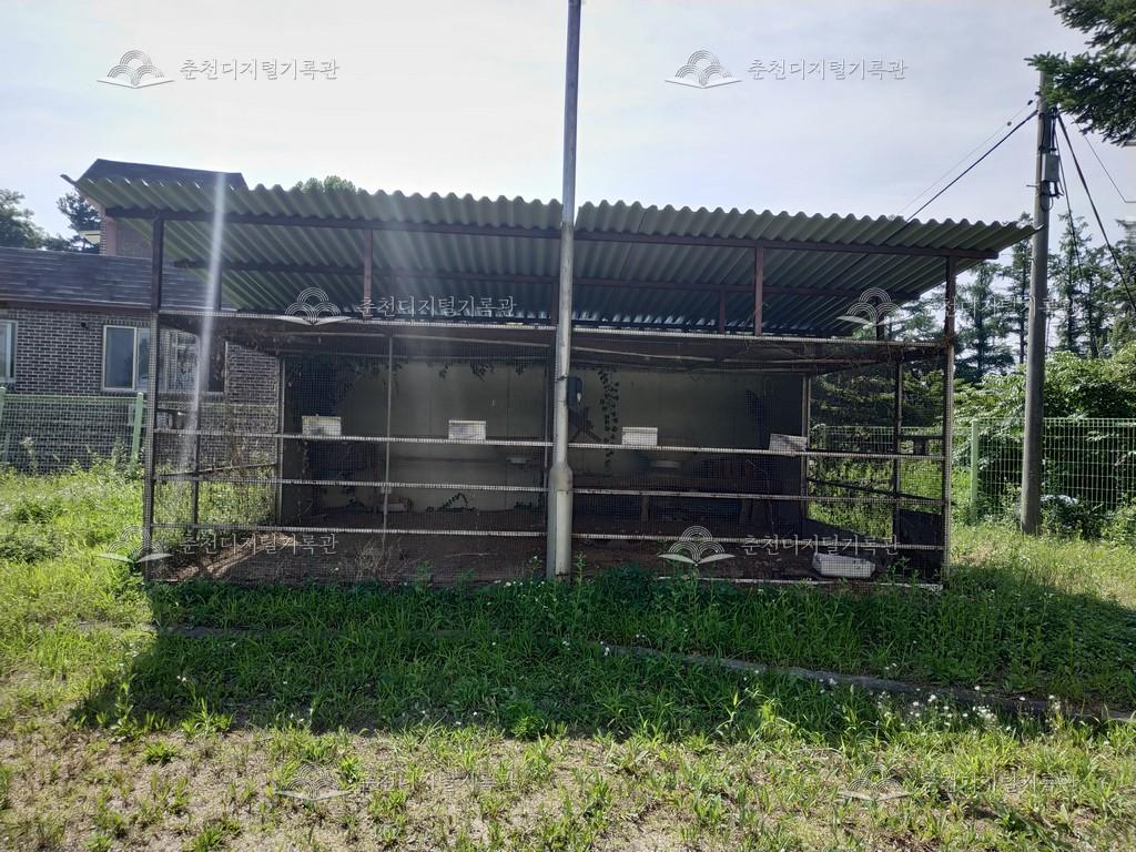 창의교육지원센터 닭장 이미지