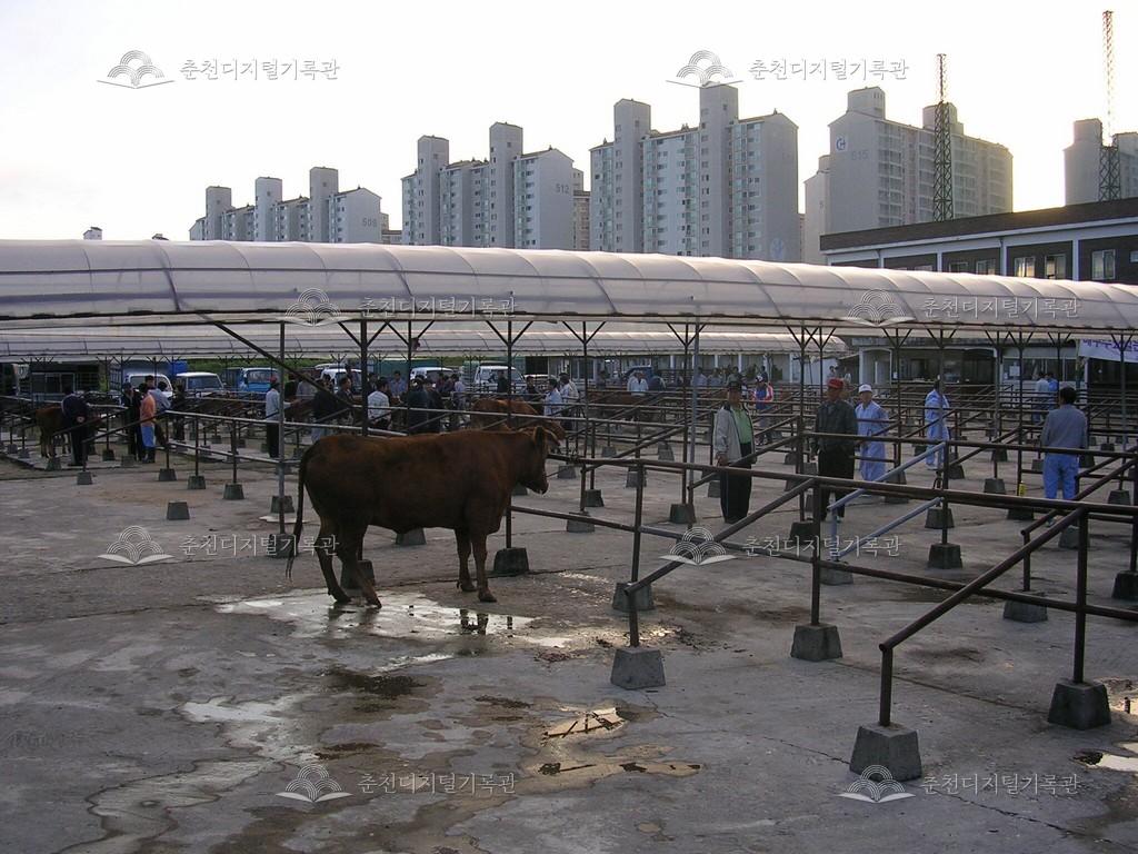 퇴계동 우(牛)시장 이미지