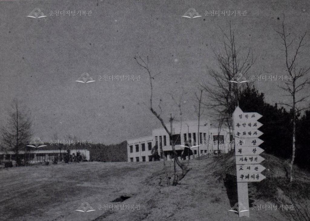 춘천농과대학 이미지