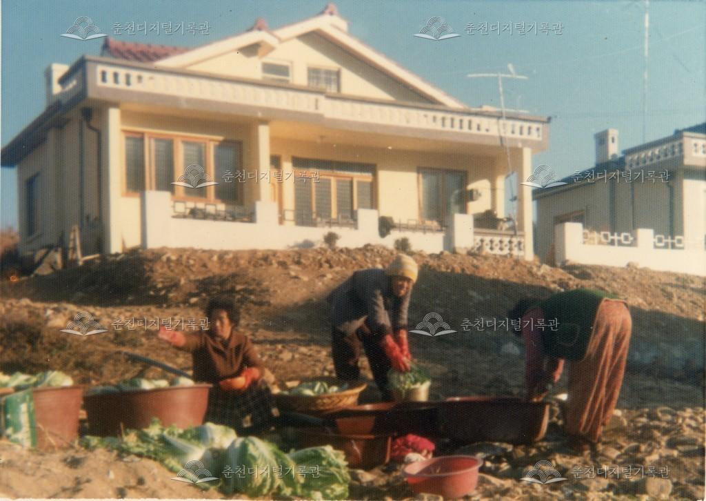 동산면 원창리 새마을주택 이미지