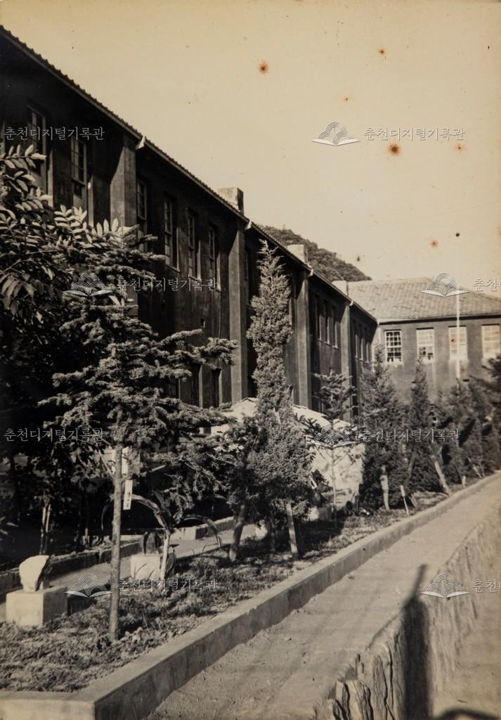 근화초등학교 전경 이미지