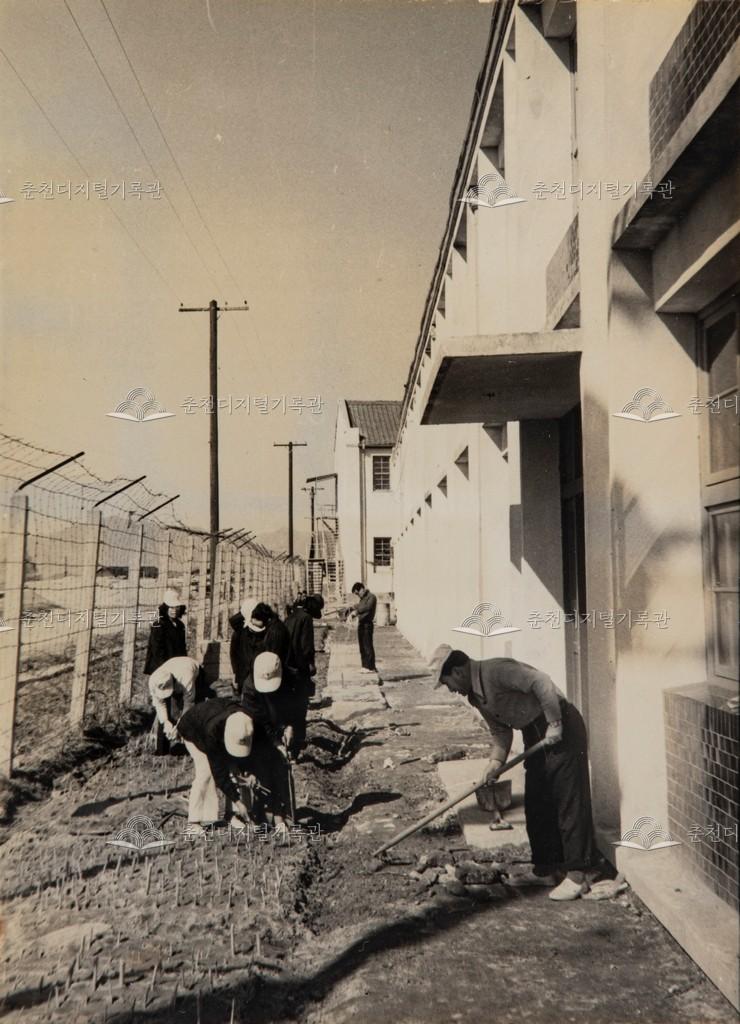 양묘장 설치 이미지