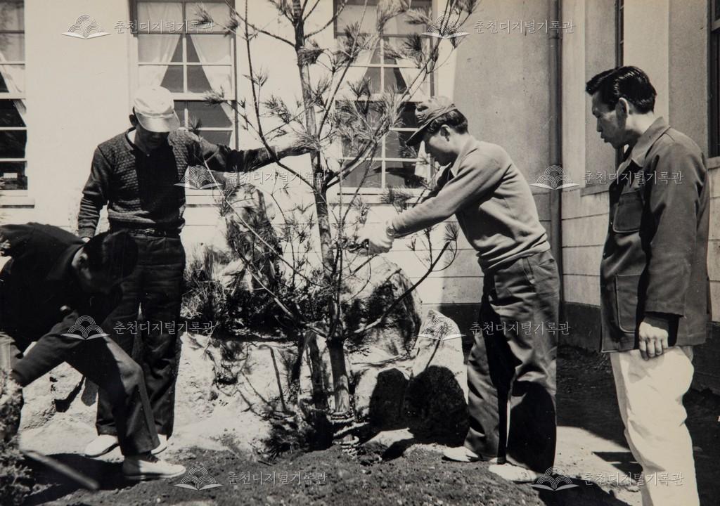 식목일 기념식수 이미지