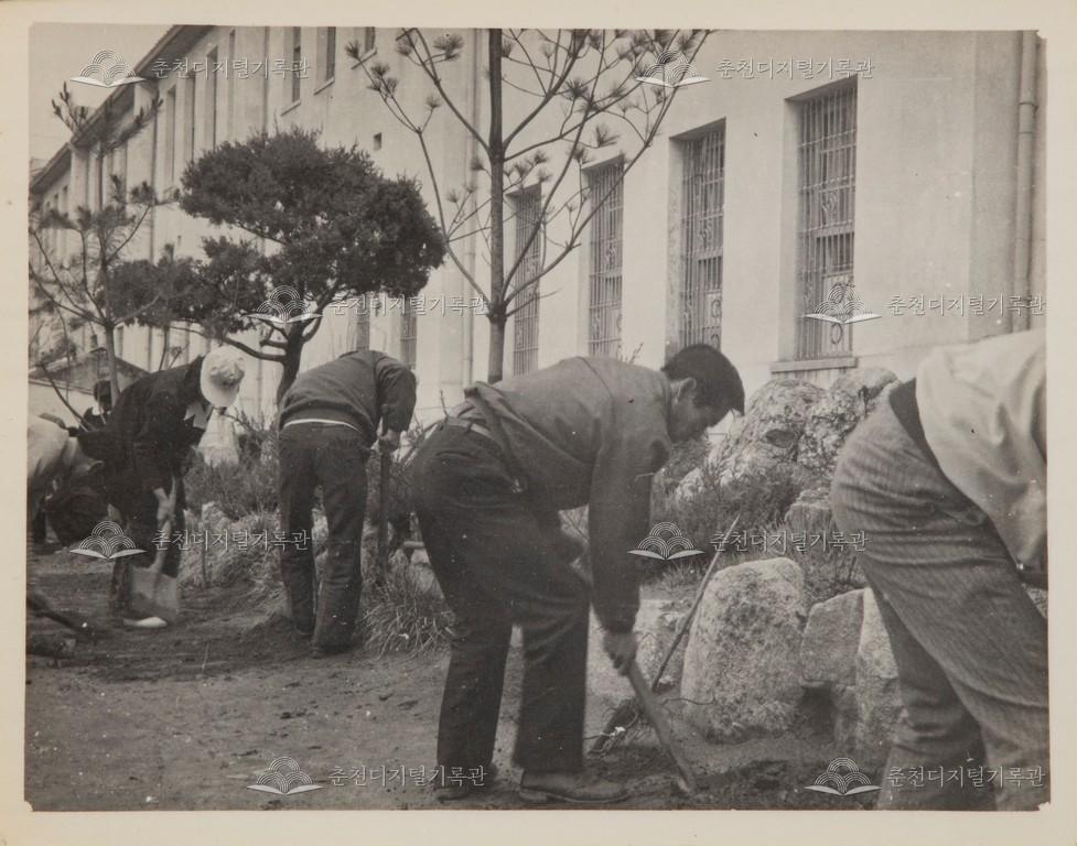 식수(植樹) 이미지