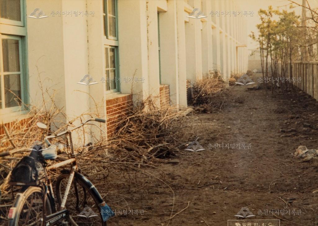 캠프페이지와 근화국민학교 사이의 담벼락 이미지