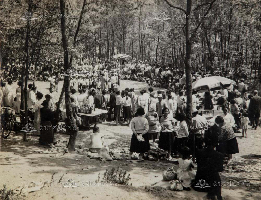 즐거운 봄소풍 이미지