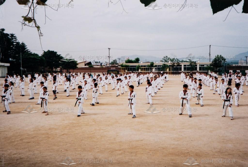 태권도 교육 이미지