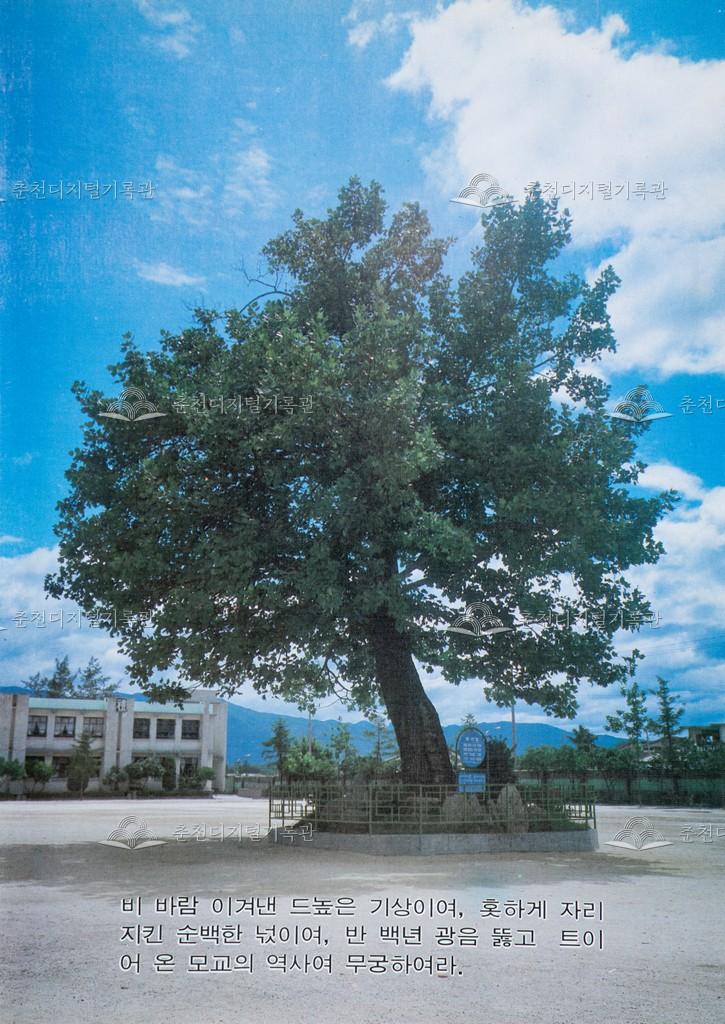 교동 춘천여자고등학교 전경 이미지