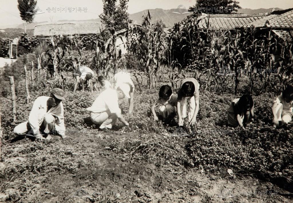 산천리 애향단 활동 이미지