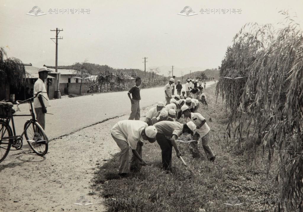 하계 근로 봉사활동 이미지
