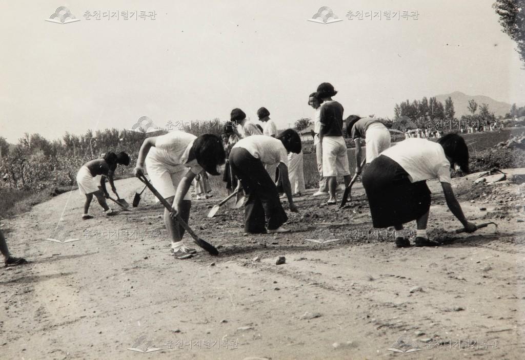 하계 근로 봉사활동 이미지