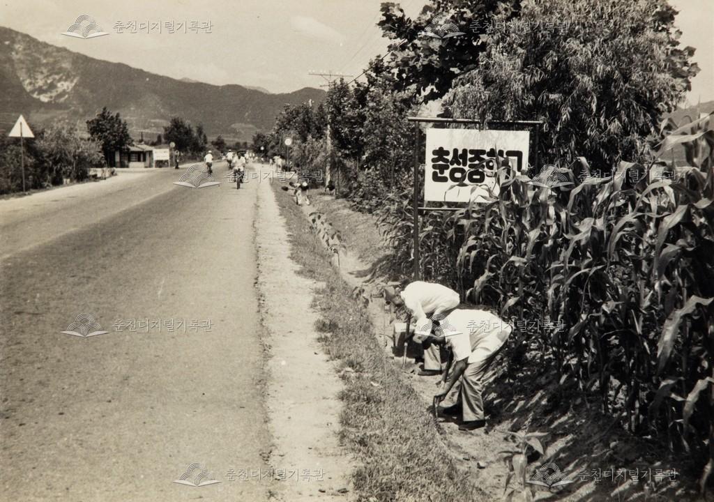 하계 근로 봉사활동 이미지