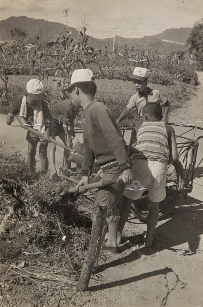 녹비 채취 이미지