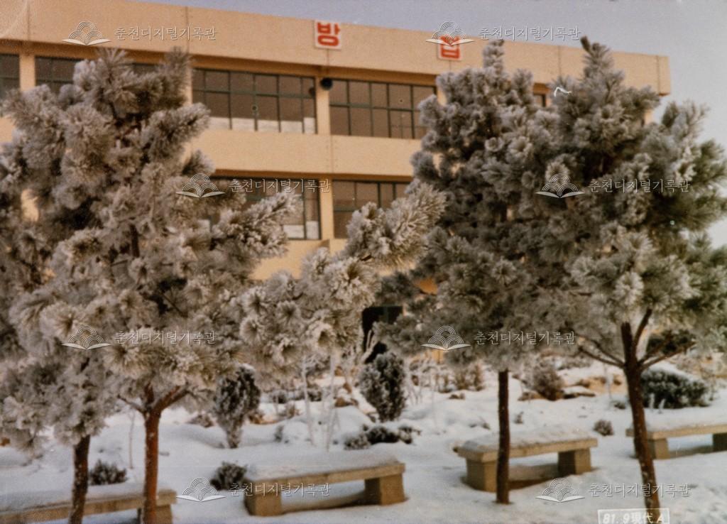 춘성중학교 전경 이미지