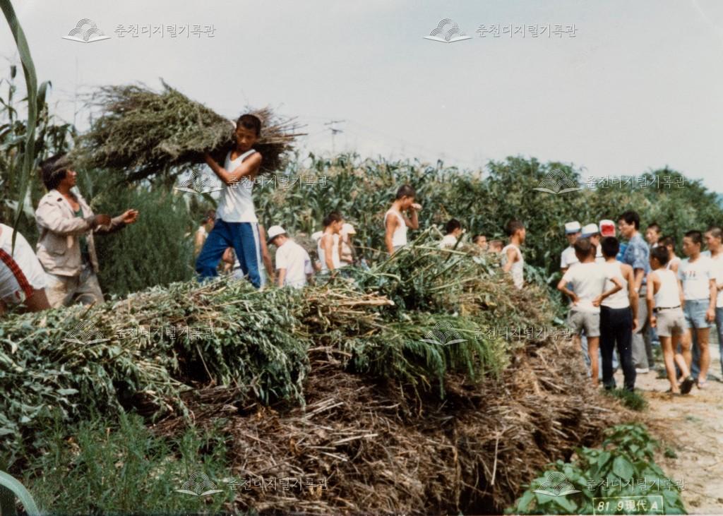 농촌 일손돕기 이미지